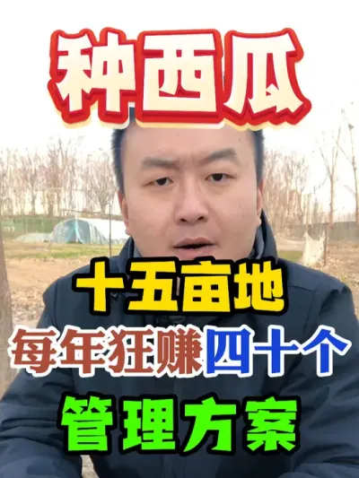 种西瓜十五亩地每年狂赚四十个管理方案 #西瓜种植 #农业种植 #种植小技巧 #传播农业小知识 #分享农业知识帮农民增产增收