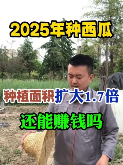 2025年种西瓜种植面积扩大一倍还能赚到钱吗 #西瓜种植 #农业种植 #种植小技巧 #传播农业小知识 #分享农业知识帮农民增产增收
