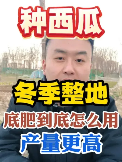 种西瓜冬季整地底肥到底怎么用产量更高 #西瓜种植 #农业种植 #种植小技巧 #传播农业小知识 #分享农业知识帮农民增产增收