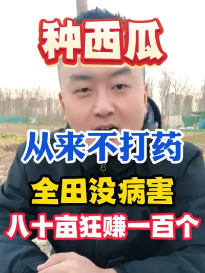 种西瓜从来不打全田无病害八十亩狂赚一百个 #西瓜种植 #农业种植 #种植小技巧 #传播农业小知识 #分享农业知识帮农民增产增收