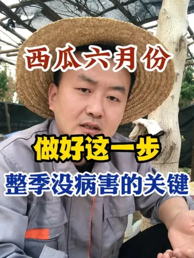 西瓜六月份做好这一步整季没病害 #西瓜种植 #农业种植 #种植小技巧 #传播农业小知识 #分享农业知识帮农民增产增收