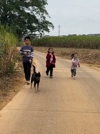 小孩子回了村，就再也不想抱着电子产品了，小狗作伴，多欢乐#农村生活 #小孩子的快乐总是那么简单 #人间烟火