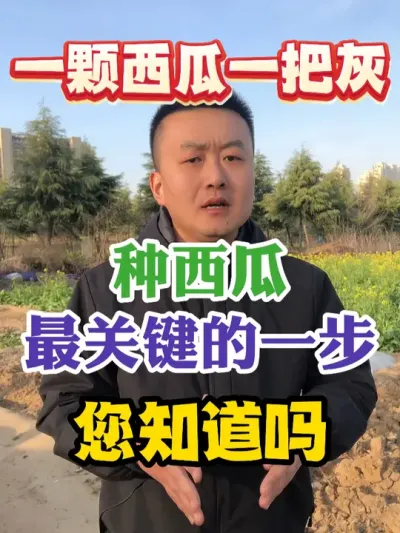 种西瓜最关键的一步您知道是什么吗 #西瓜种植 #农业种植 #种植小技巧 #传播农业小知识 #分享农业知识帮农民增产增收