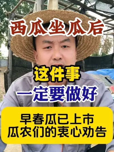 西瓜做瓜后这件事一定要做好 #西瓜种植 #农业种植 #种植小技巧 #传播农业小知识 #分享农业知识帮农民增产增收