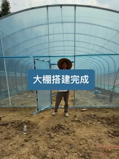 花了快一个月，网购的大棚终于搭好了 #记录我的种植生活 #新农人计划2025