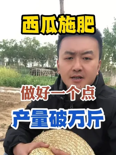 西瓜施肥做好一个点产量破万斤 #西瓜种植 #农业种植 #种植小技巧 #传播农业小知识 #分享农业知识帮农民增产增收