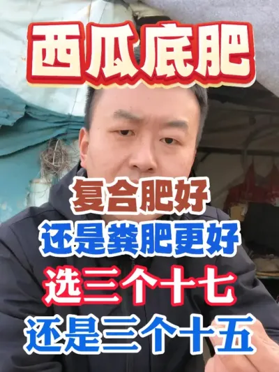 西瓜底肥到底是复合肥好还是粪肥更好使用三个十七的还是三个十五 #西瓜种植 #农业种植 #种植小技巧 #传播农业小知识 #分享农业知识帮农民增产增收