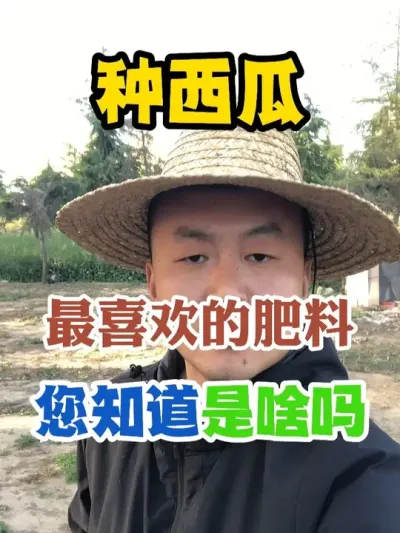 西瓜病害越打药病越多到底是什么原因 #西瓜种植 #农业种植 #种植小技巧 #传播农业小知识 #分享农业知识帮农民增产增收