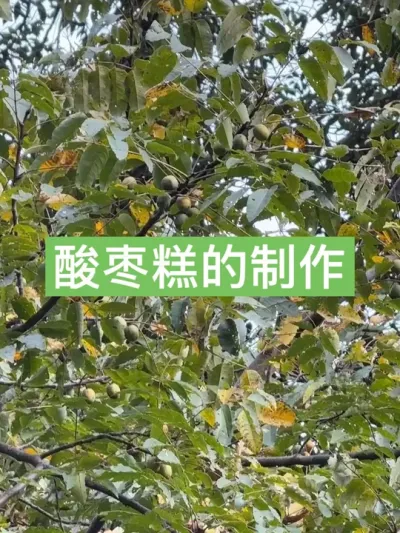 过年的小零食之一，酸枣糕的制作全过程 过年大鱼大肉吃多了来点酸掉牙的酸枣糕正正好#酸枣糕 #新农人计划2025