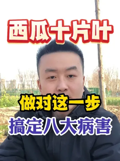 西瓜十片叶做对这一步轻松搞定十大病害 #西瓜种植 #农业种植 #种植小技巧 #传播农业小知识 #分享农业知识帮农民增产增收