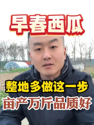 早春西瓜整地多做这一步亩产万斤品质好 #西瓜种植 #农业种植 #种植小技巧 #传播农业小知识 #分享农业知识帮农民增产增收