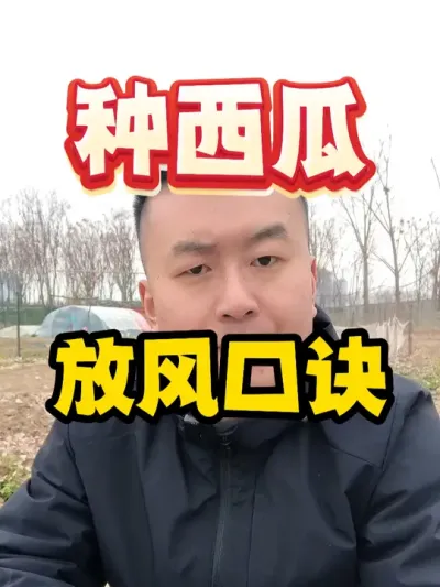 种西瓜放风口诀 #西瓜种植 #农业种植 #种植小技巧 #传播农业小知识 #分享农业知识帮农民增产增收