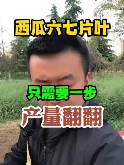 西瓜六七片叶只需一步产量翻翻 #西瓜种植 #农业种植 #种植小技巧 #传播农业小知识 #分享农业知识帮农民增产增收