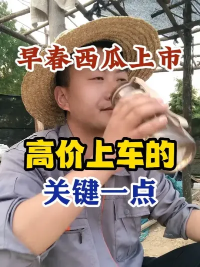 早春西瓜上市能够卖高价的最关键一点 #西瓜种植 #农业种植 #种植小技巧 #传播农业小知识 #分享农业知识帮农民增产增收