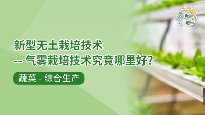 新型无土栽培技术--气雾栽培技术究竟哪里好？