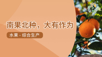 南果北种，大有作为