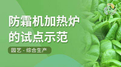防霜机加热炉的试点示范