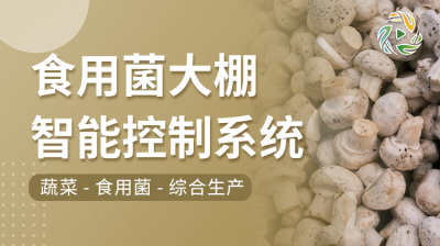 食用菌大棚智能控制系统
