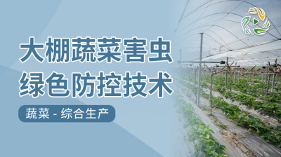 大棚蔬菜害虫绿色防控技术