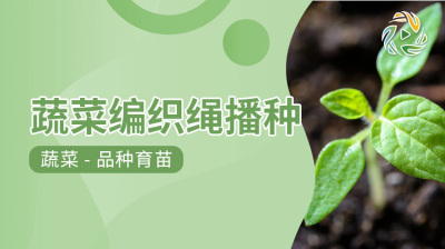 蔬菜编织绳播种