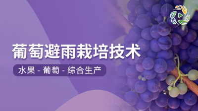 葡萄避雨栽培技术