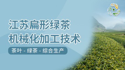 江苏扁形绿茶机械化加工技术