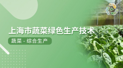 上海市蔬菜绿色生产技术