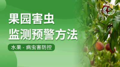 果园害虫监测预警方法