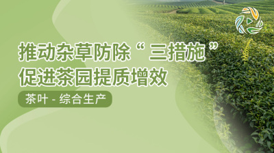 推动杂草防除&ldquo;三措施&rdquo;促进茶园提质增效