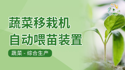 蔬菜移栽机自动喂苗装置