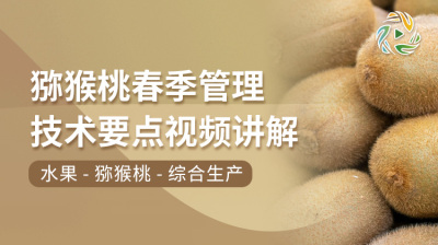 猕猴桃春季管理技术要点视频讲解