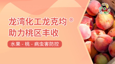 龙湾化工龙克均&reg;助力桃区丰收