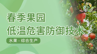 春季果园低温危害防御技术