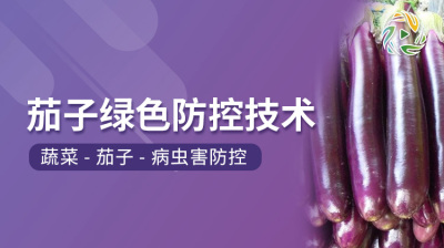 茄子绿色防控技术
