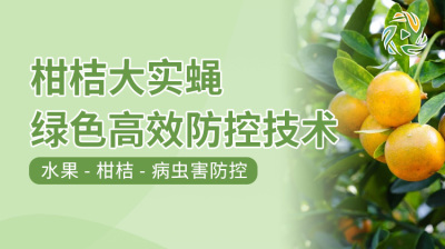 柑桔大实蝇绿色高效防控技术
