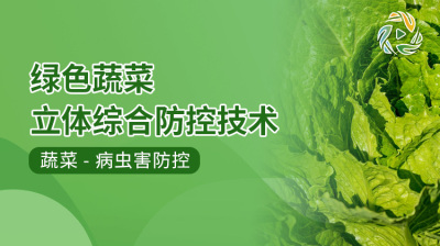 绿色蔬菜立体综合防控技术