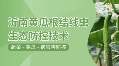 沂南黄瓜根结线虫生态防控技术
