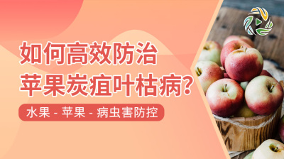 如何高效防治苹果炭疽叶枯病？