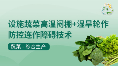 设施蔬菜高温闷棚+湿旱轮作防控连作障碍技术