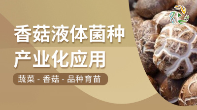 香菇液体菌种产业化应用