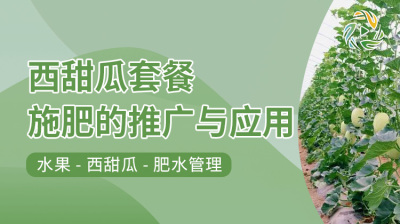 西甜瓜套餐施肥的推广与应用