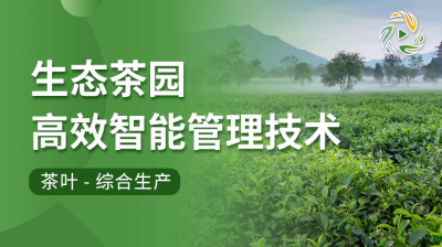 生态茶园高效智能管理技术