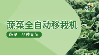 蔬菜全自动移栽机
