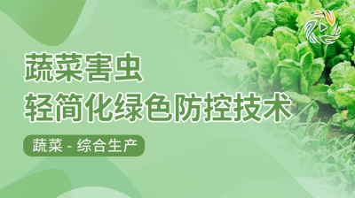 蔬菜害虫轻简化绿色防控技术