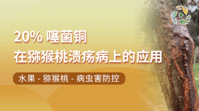 龙克均(20%噻菌铜SC)在猕猴桃溃疡病上的应用