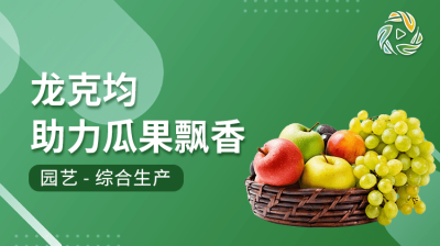 龙克均助力瓜果飘香