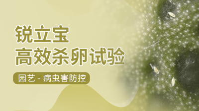 锐立宝高效杀卵试验视频