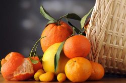 英媒：柑橘类水果可降低痴呆症风险