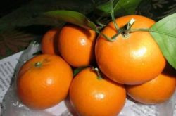 柑橘管理着色、增甜、膨果一个都不能少！！
