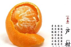 柑橘10大区域公用品牌盘点，看看有你的家乡吗？